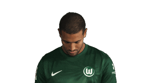 Look Up Vfl Wolfsburg Sticker by Bundesliga