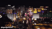 Beer Pong Lights GIF by BPONGofficial