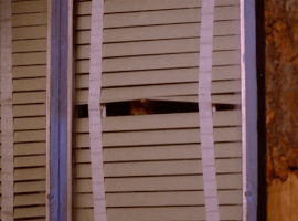 season 2 GIF by Twin Peaks on Showtime