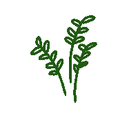 Beauty Flower Sticker