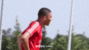 Sl Benfica Slbgif GIF by Sport Lisboa e Benfica