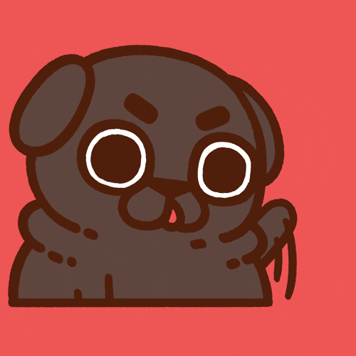 Give Me Attention GIF by Puglie Pug