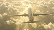 travel flying GIF by GOL Linhas Aéreas
