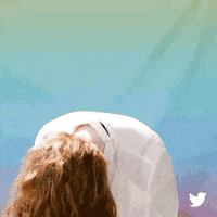 Twitter Ok GIF by Allison Ponthier
