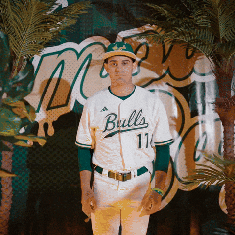 South Florida Baseball GIF by USF Athletics