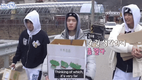 준 Choi Seungcheol GIF