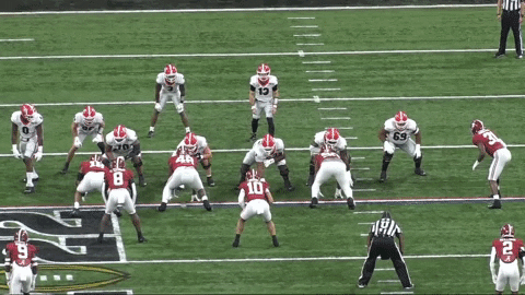 jamualforrest giphyupload GIF