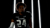 Old Dominion Sport GIF by ODU Football