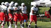 cincinnati bearcats guitar GIF by University of Cincinnati Athletics