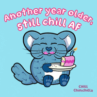 Happy Birthday Eating GIF by VeeFriends