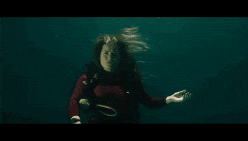 Shark Week GIF by Signature Entertainment