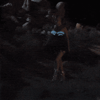 New York Fashion Week GIF by neon cowboys