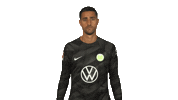 Vfl Wolfsburg Wink Sticker by Bundesliga
