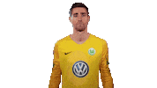 World Cup Football Sticker by VfL Wolfsburg