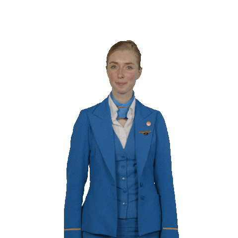 Cabin Crew Applause Sticker by KLM