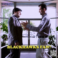 Blackhawks Soldierfield GIF by Marcel Katz / The Art Plug