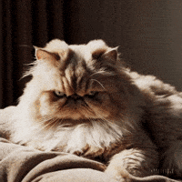 Oh Hell No GIF by Maryanne Chisholm - MCArtist