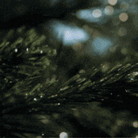 Fj GIF by FootJoy
