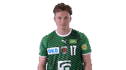 Handball-Bundesliga Handball Sticker by LIQUI MOLY HBL