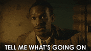 GIF by Paramount+