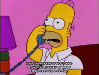 homer simpson GIF