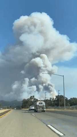 Smoke Towers From Hopkins Fire in Calpella, California