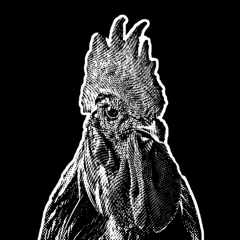 StudioVokal podcast studio record cock GIF