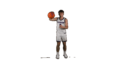 Ppp D3 Sticker by Albion College