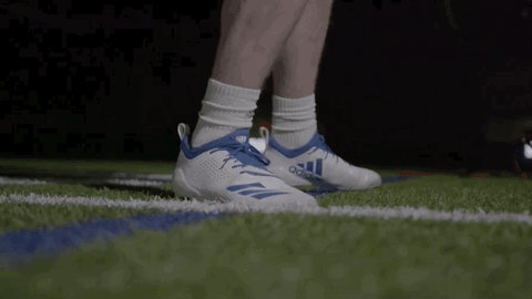 GIF by Delaware Blue Hens