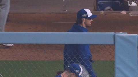 Blue Jays Mlb GIF by Toronto Blue Jays