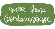 Fesztival Sticker by Diákhálózat