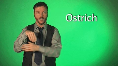 Sign Language Ostrich GIF by Sign with Robert