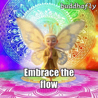 Butterfly Galaxy GIF by BuddhaFlyJourney