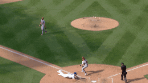 Pete Alonso Baseball GIF by New York Mets