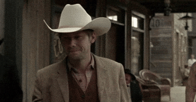 season 1 episode 3 hbo westworld william GIF