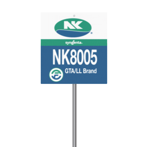 nkseeds_us corn harvest nk yield Sticker
