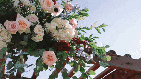 simplyivoryvideography giphyupload GIF