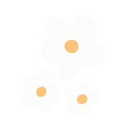 Flowers Daisy Sticker