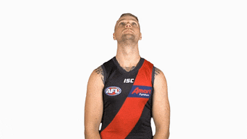 essendonfc jake dons bombers essendon GIF