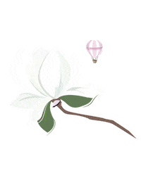 poppaDesign spring magnolia tavasz springflower Sticker