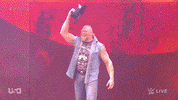 Sport Wwe GIF by USA Network
