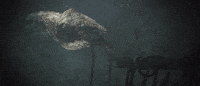 Master Chief Game GIF by Halo