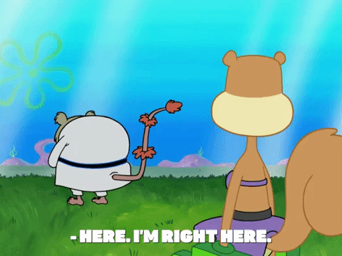 season 8 bubble troubles GIF by SpongeBob SquarePants