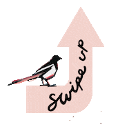 Swipe Kiss Sticker by Magpie Wedding
