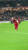 Young Liverpool Fan Storms The Pitch