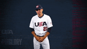 Pro GIF by USA Baseball