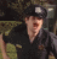 gifs for ants GIF