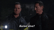 911 GIF by 9-1-1 on FOX