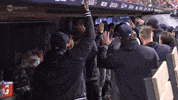 New York Yankees Sport GIF by MLB