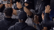 New York Yankees Sport GIF by MLB